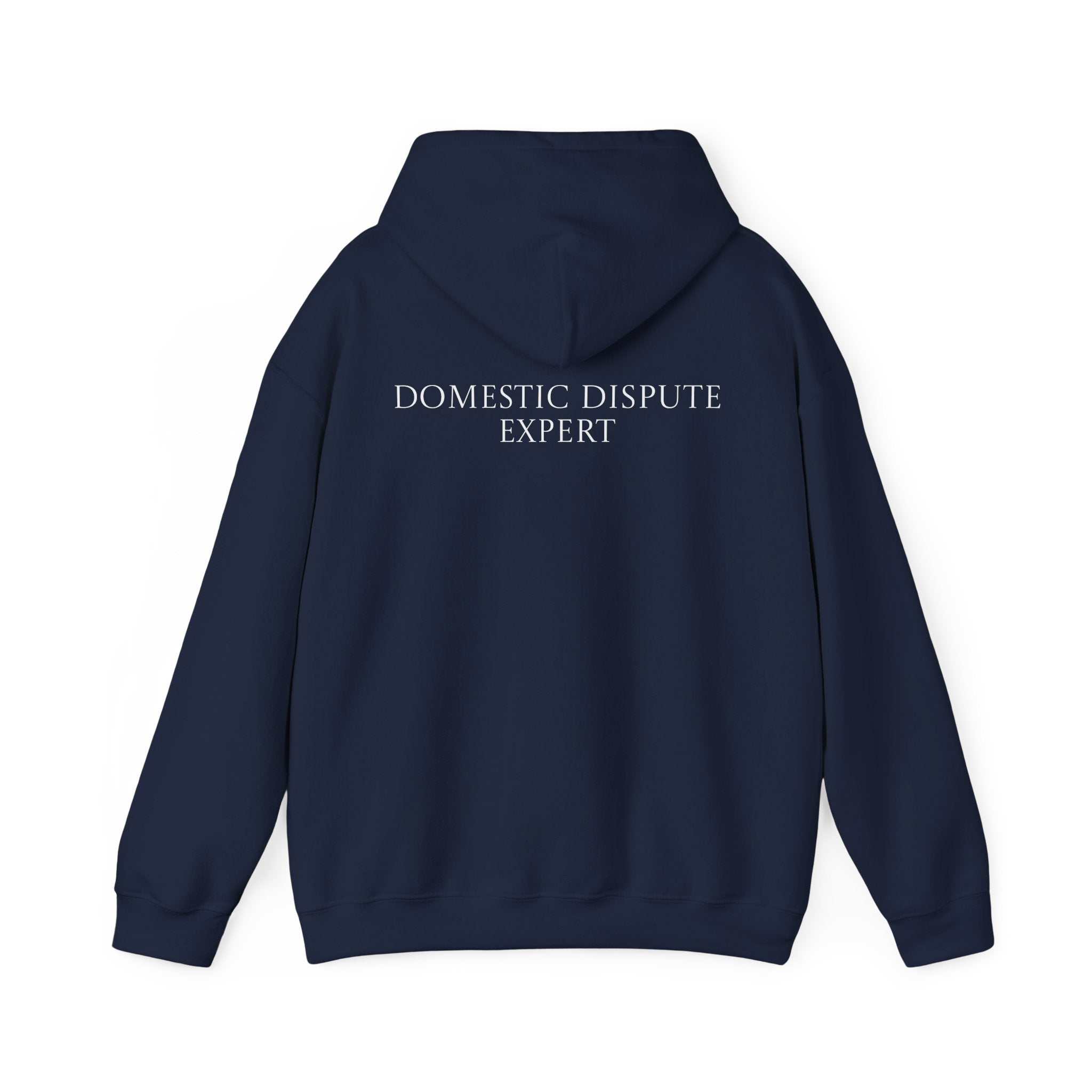 Domestic Dispute Expert Hoodie Back