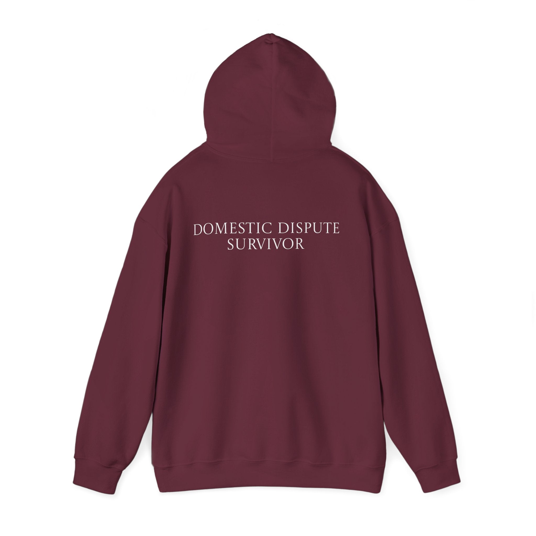 Domestic Dispute Survivor Hoodie Back