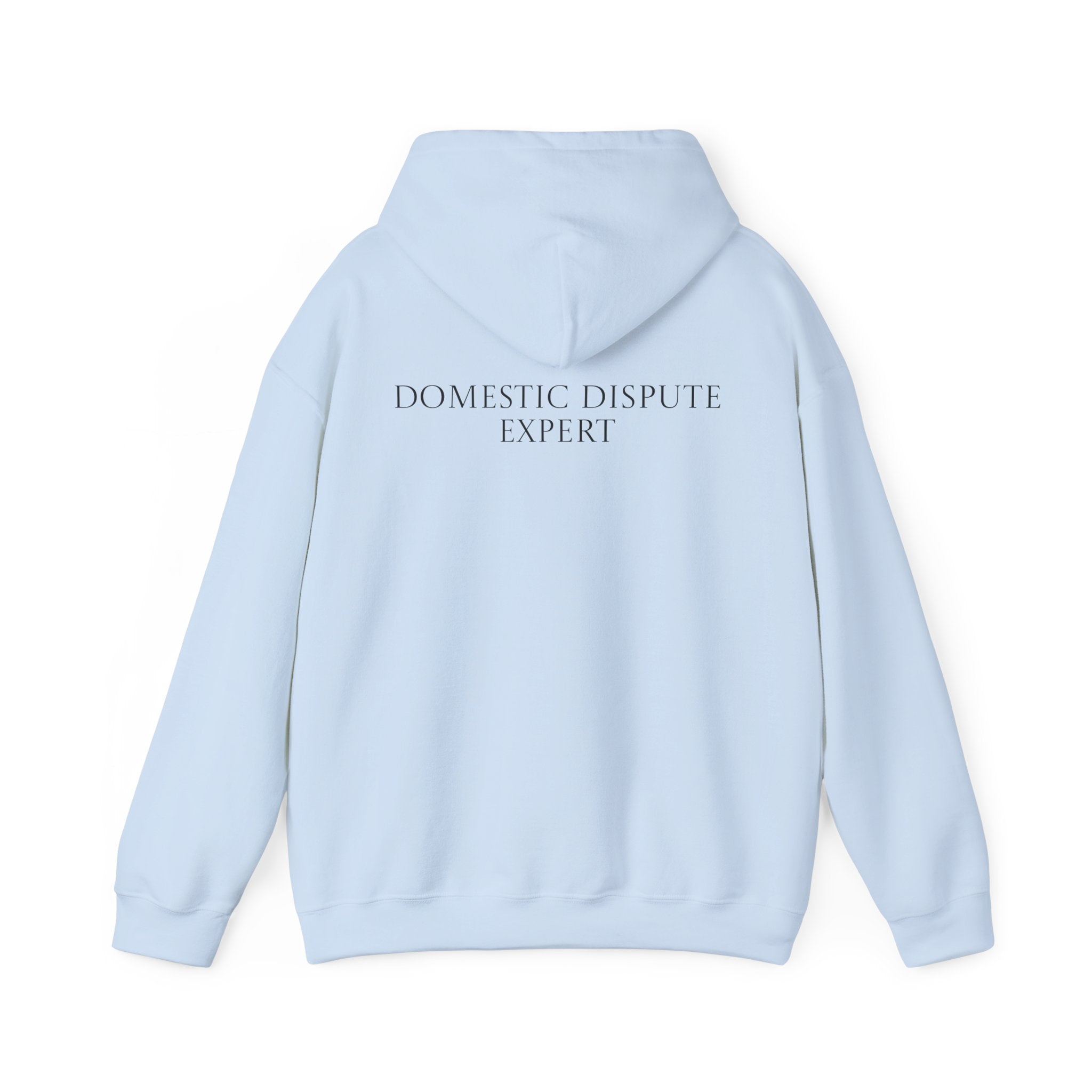 Domestic Dispute Expert Hoodie Back