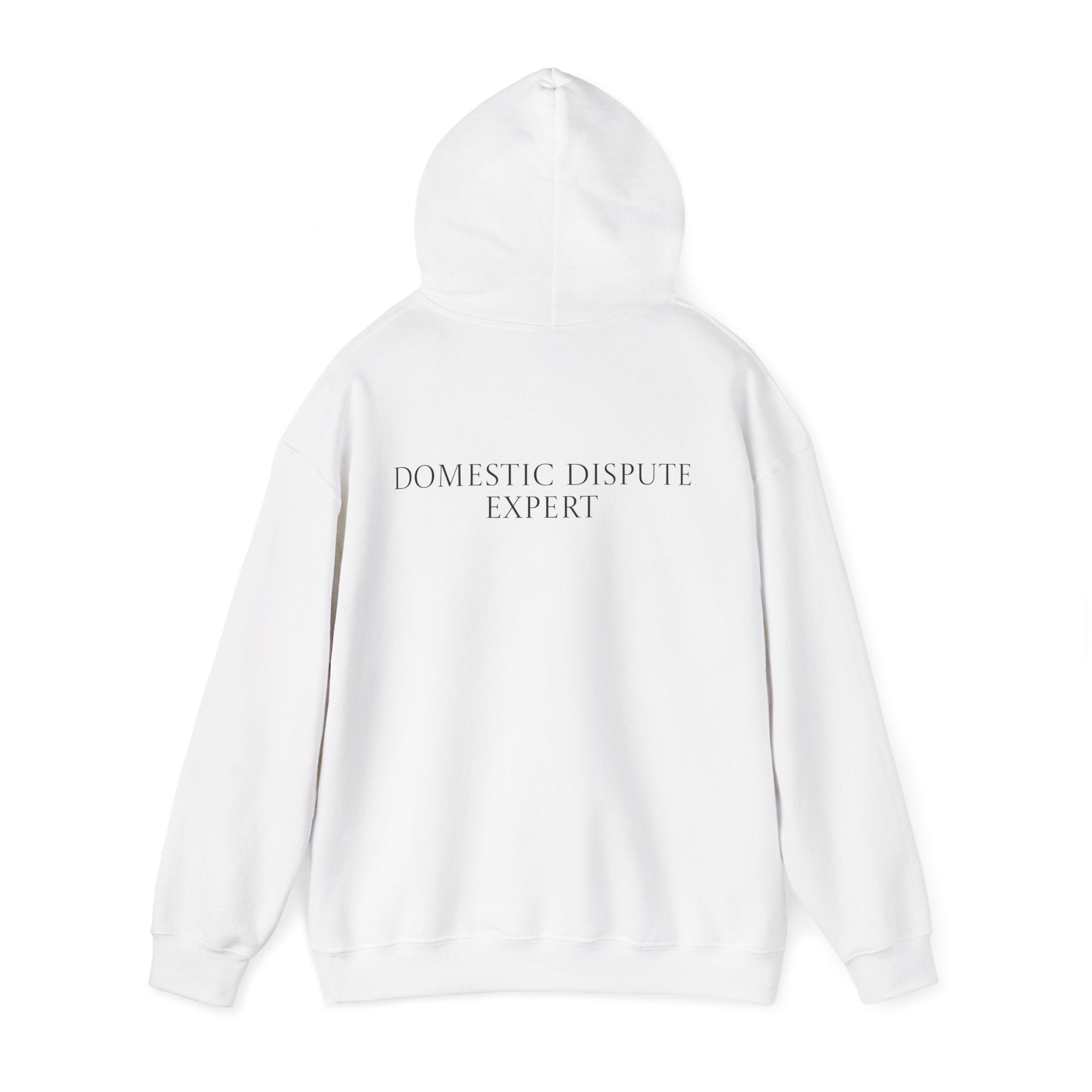 Domestic Dispute Expert Hoodie Back