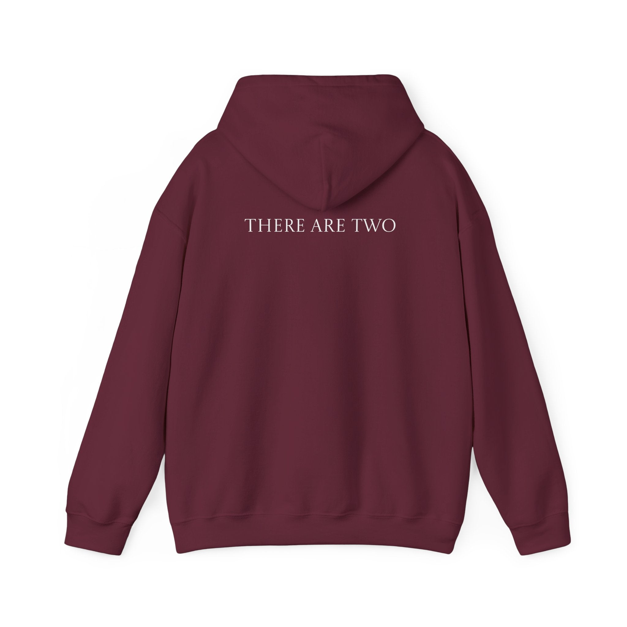 There Are Two Hoodie Back